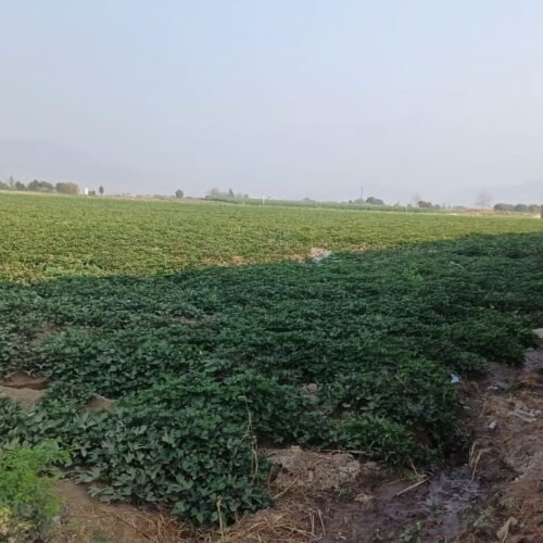 WhatsApp Image 2024-09-12 at 4.46.06 PM (2)