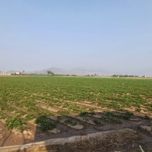 WhatsApp Image 2024-09-12 at 4.46.06 PM