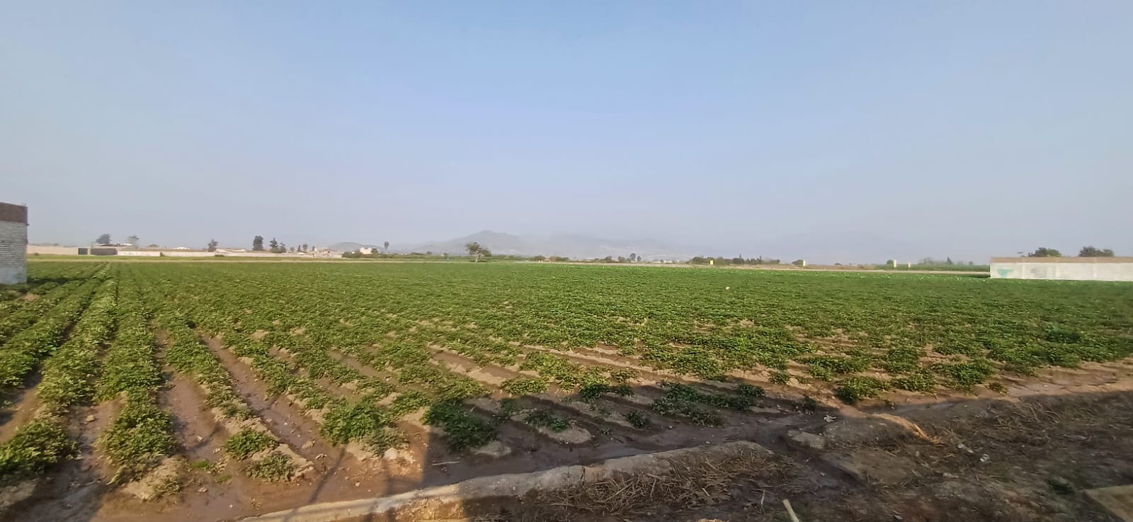Predio en Jesus del Valle
