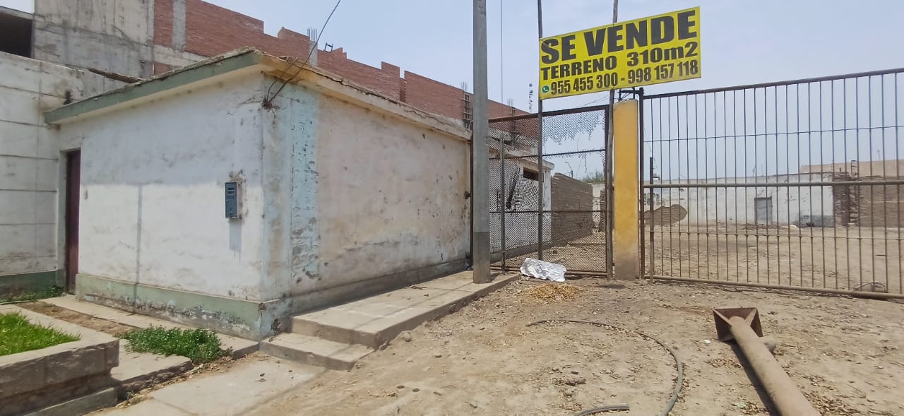 Lote